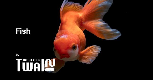 Eduality.XR - Fish
