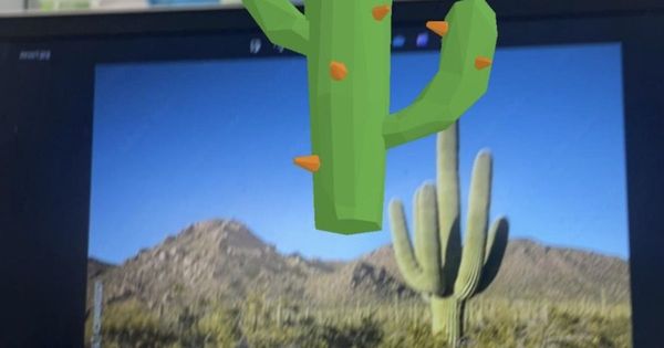 Cactus Movements - May 17