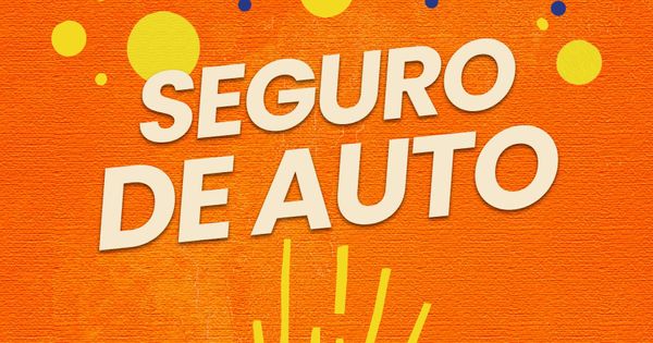 Congreso Agente Seguro De Auto