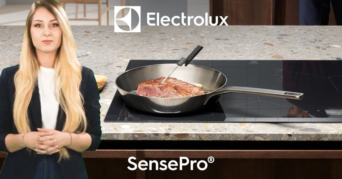 electrolux-sensepro-ar-assistant