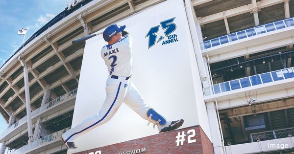 15年分のフルスイング