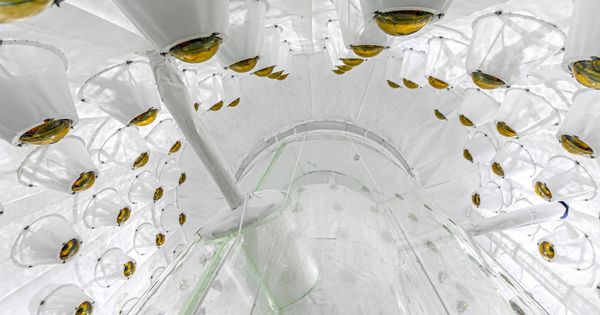 LZ Cryostat  (No VPS)