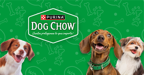 Dog Chow