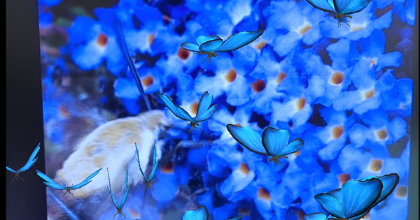 Butterfly Circlular Movement