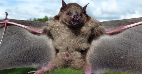 Practica 4 SAP Parte2