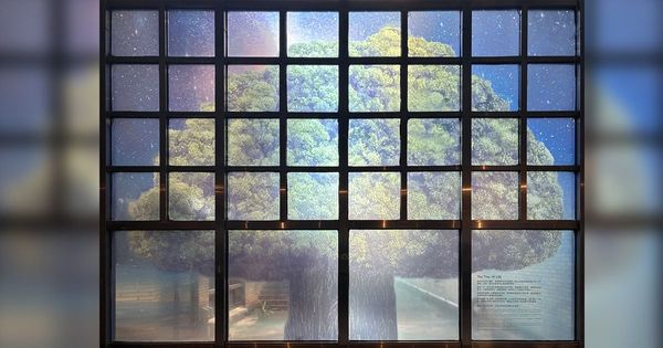 2025 NCKU MED《The Tree of Life》WebAR